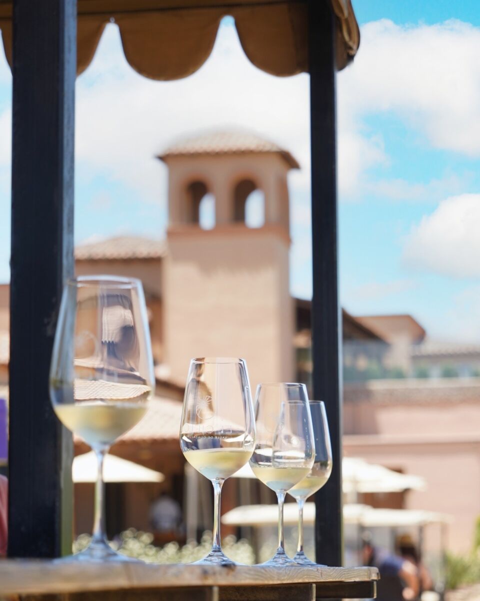 copas de vino en un viñedo 
