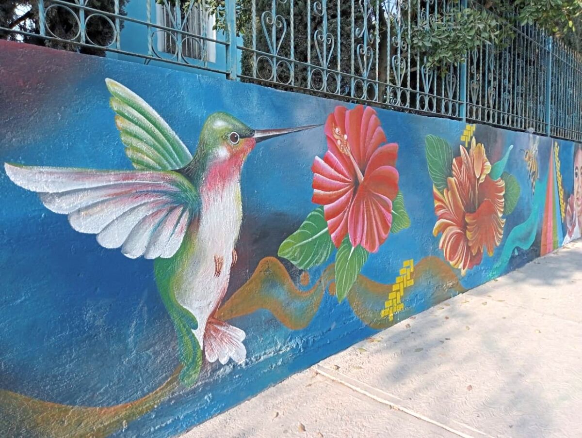 Mural de un colibrí en calles de Coatepec