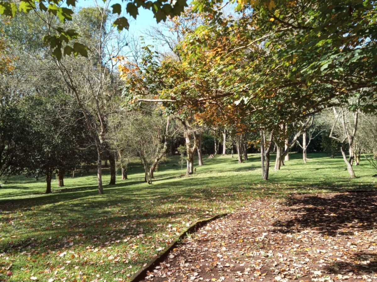 Jardín Botánico Clavijero