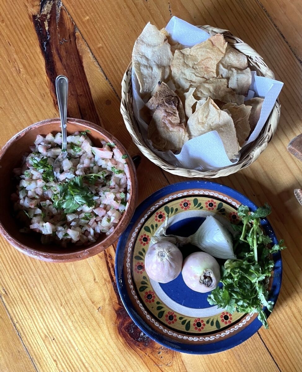 Pico de gallo de xoconostle 