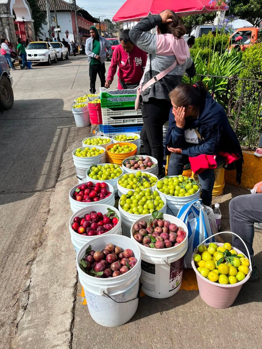 Feria de la Manzana y el Hongo en Acaxochitlán