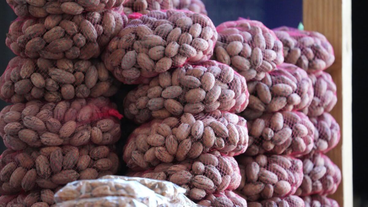 Venta de nueces en Jalpa de Cánovas 