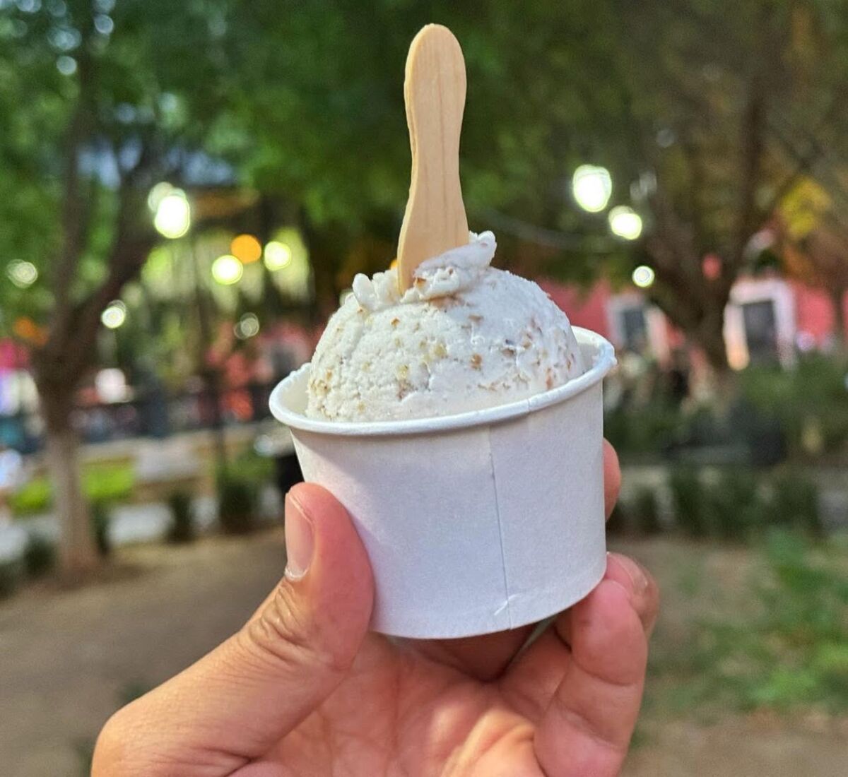 Helado de nuez en Jalpa de Cánovas