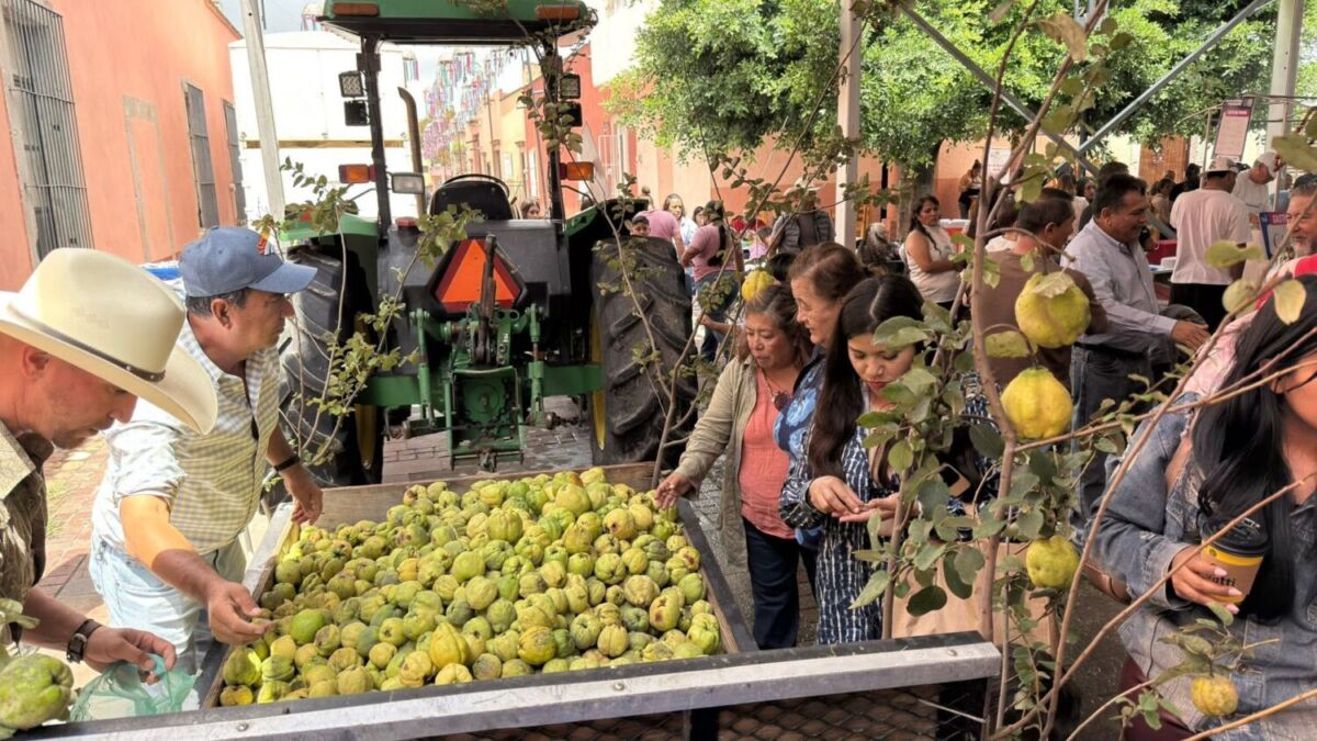 Jalpa de Cánovas, el pueblo de la nuez y el membrillo 