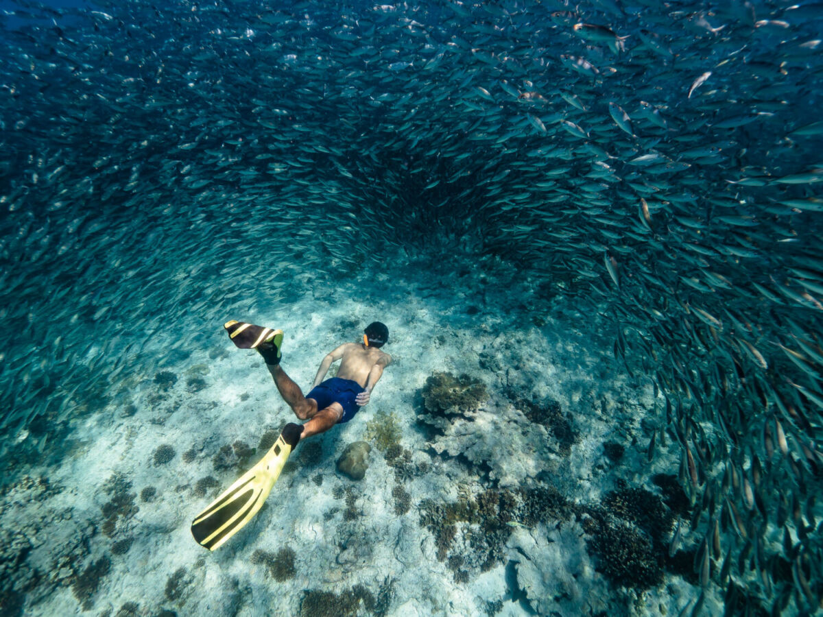 persona buceando entre peces