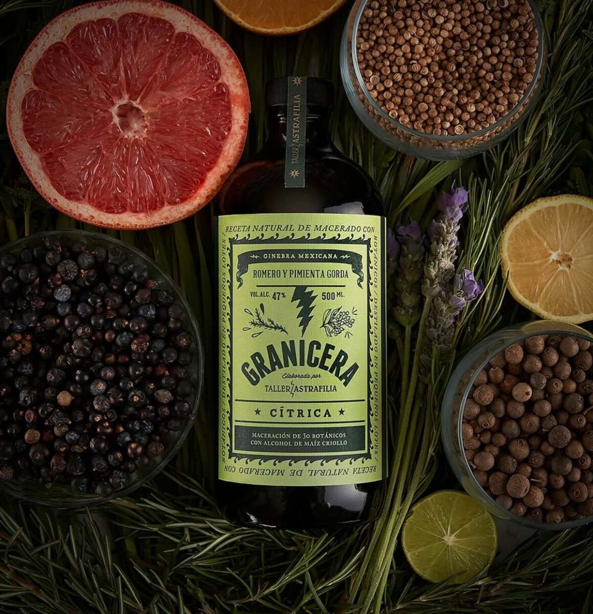 Ya no compro Tanqueray desde que descubrí esta destilería artesanal que trabaja con puros botánicos mexicanos