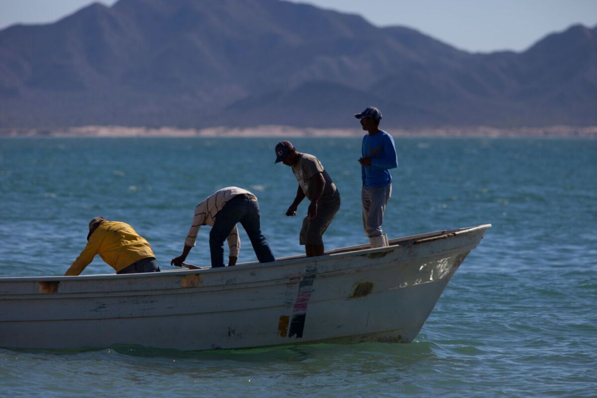 pescadores en una lancha
