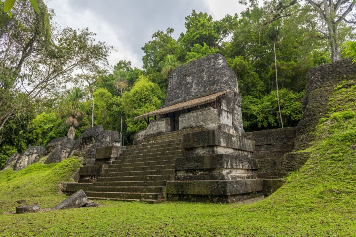 pirámide maya en medio de la selva