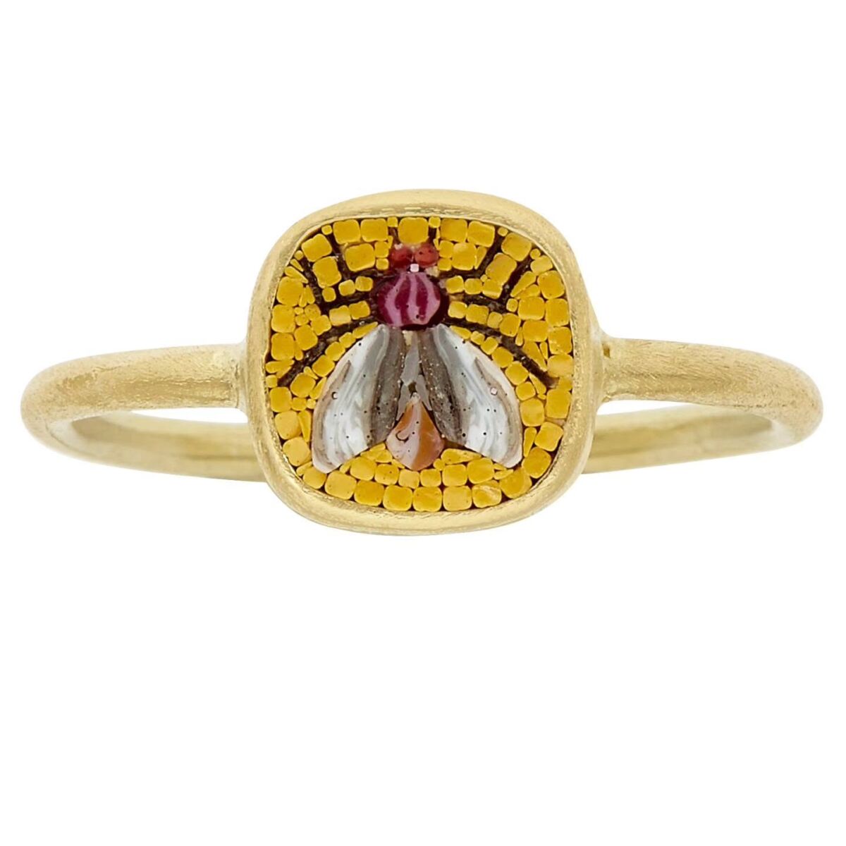 anillo de micromosaicos de mosca