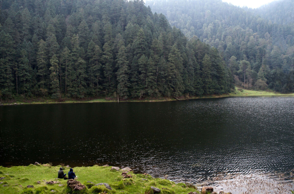 picnic a la orilla de un lago 