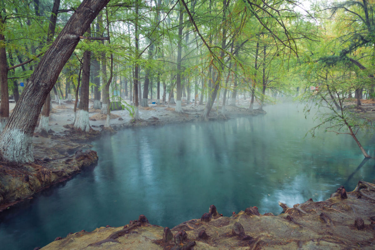 Poza de agua azul profundo rodeada de árboles con raíces expuestas en la Media Luna, Rioverde