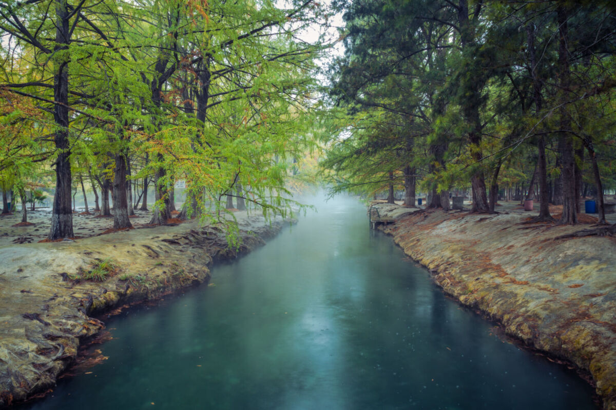 Canal de agua turquesa entre árboles con neblina matutina en el Parque Estatal Media Luna, SLP