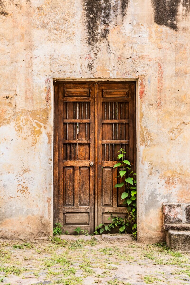 puerta vieja molino de flores
