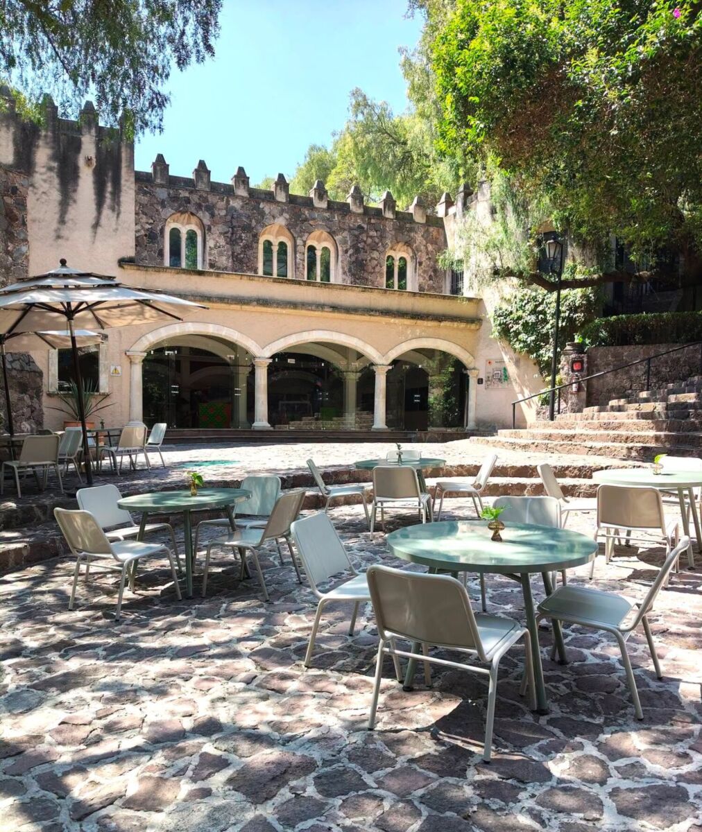 cafetería Museo Dolores Olmedo