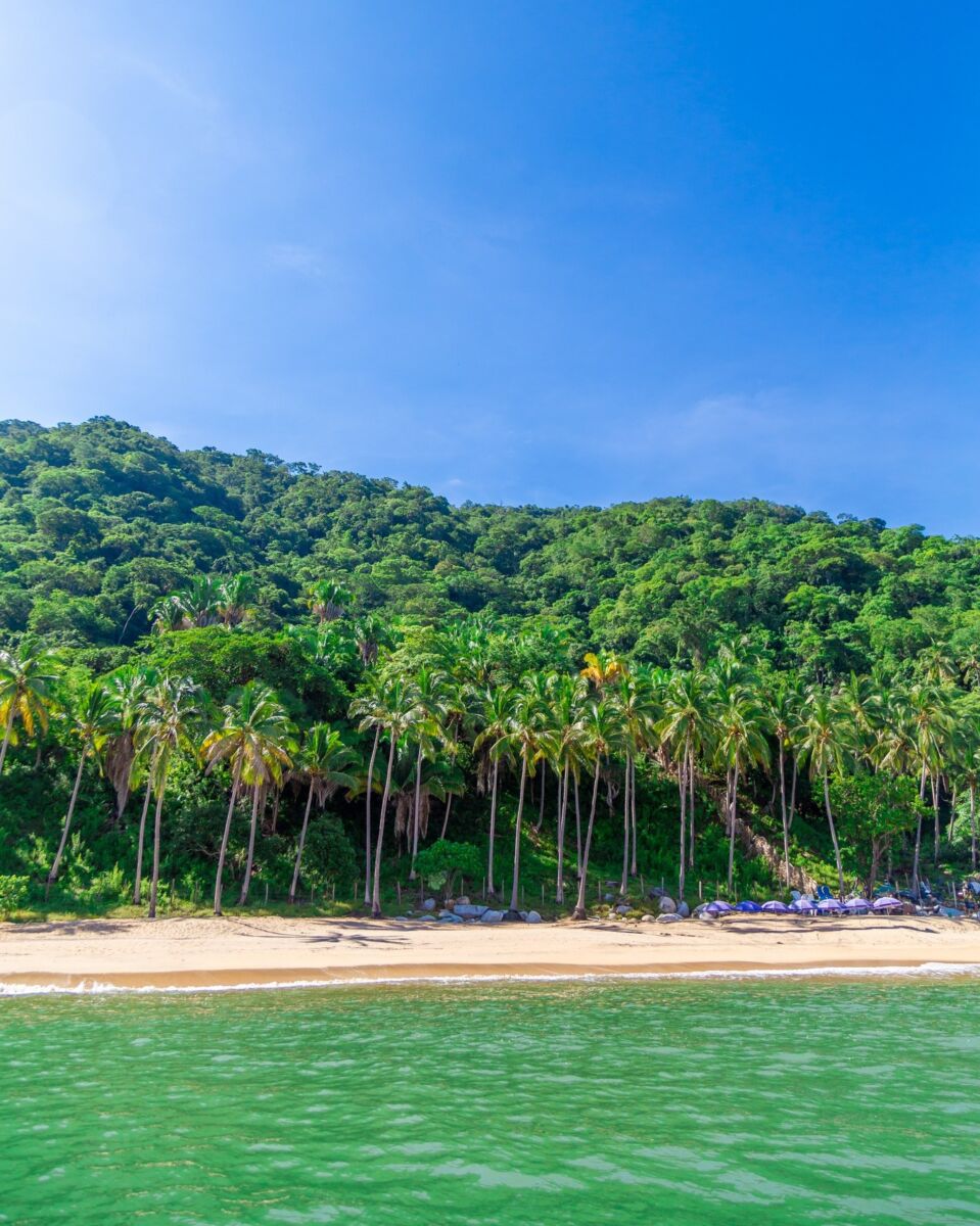 playa rodeada de selva