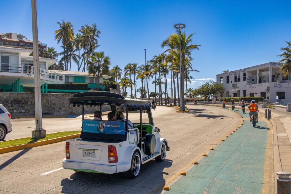 Pulmonía típica de Mazatlán circulando por el Malecón entre palmeras y ciclistas en la ciclovía costera