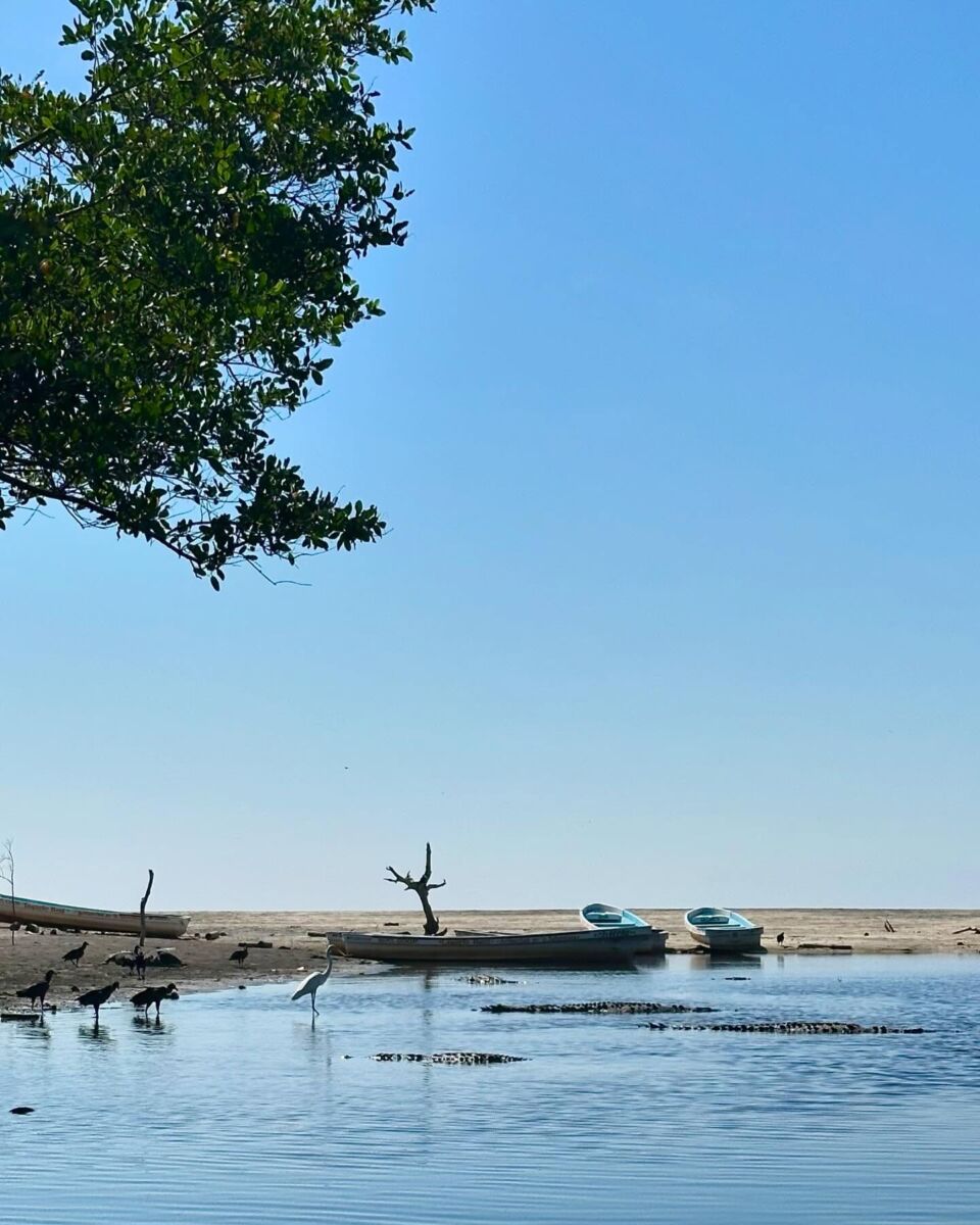 laguna entre manglares en Oaxaca 