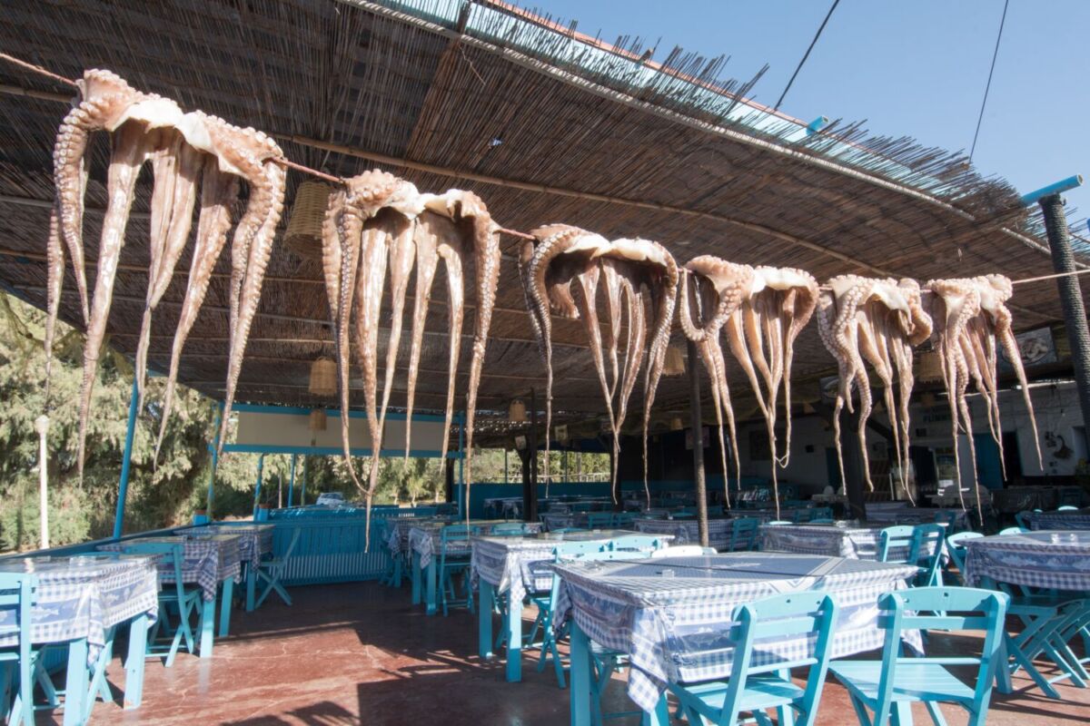 ¿Por qué hay pulpos colgados en las tabernas junto al mar en Grecia?
