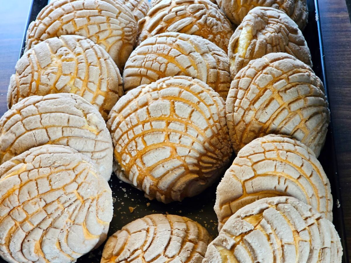 conchas de vainilla 