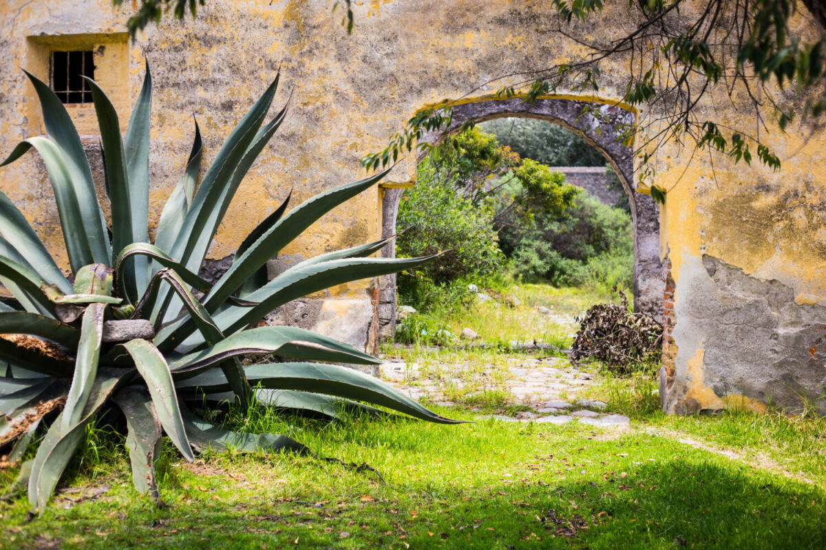 hacienda mexicana 