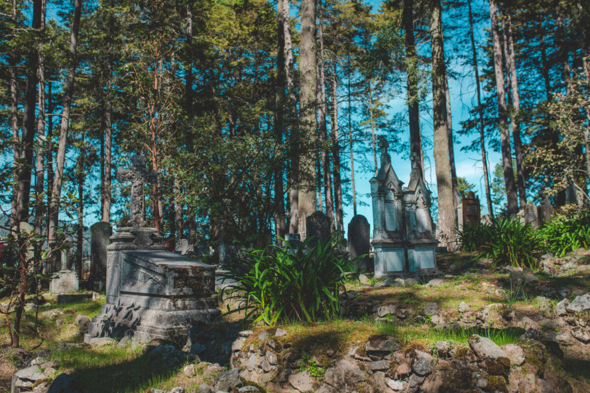 tumbas en medio de un bosque 