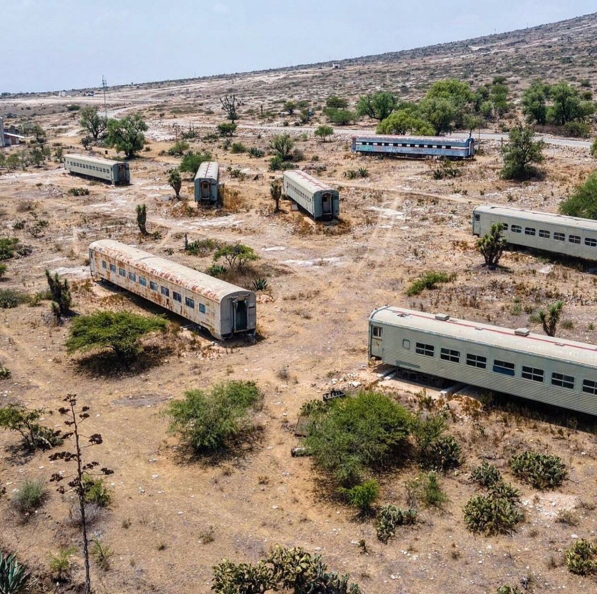 Vagones de tren abandonados en Mineral de Pozos 