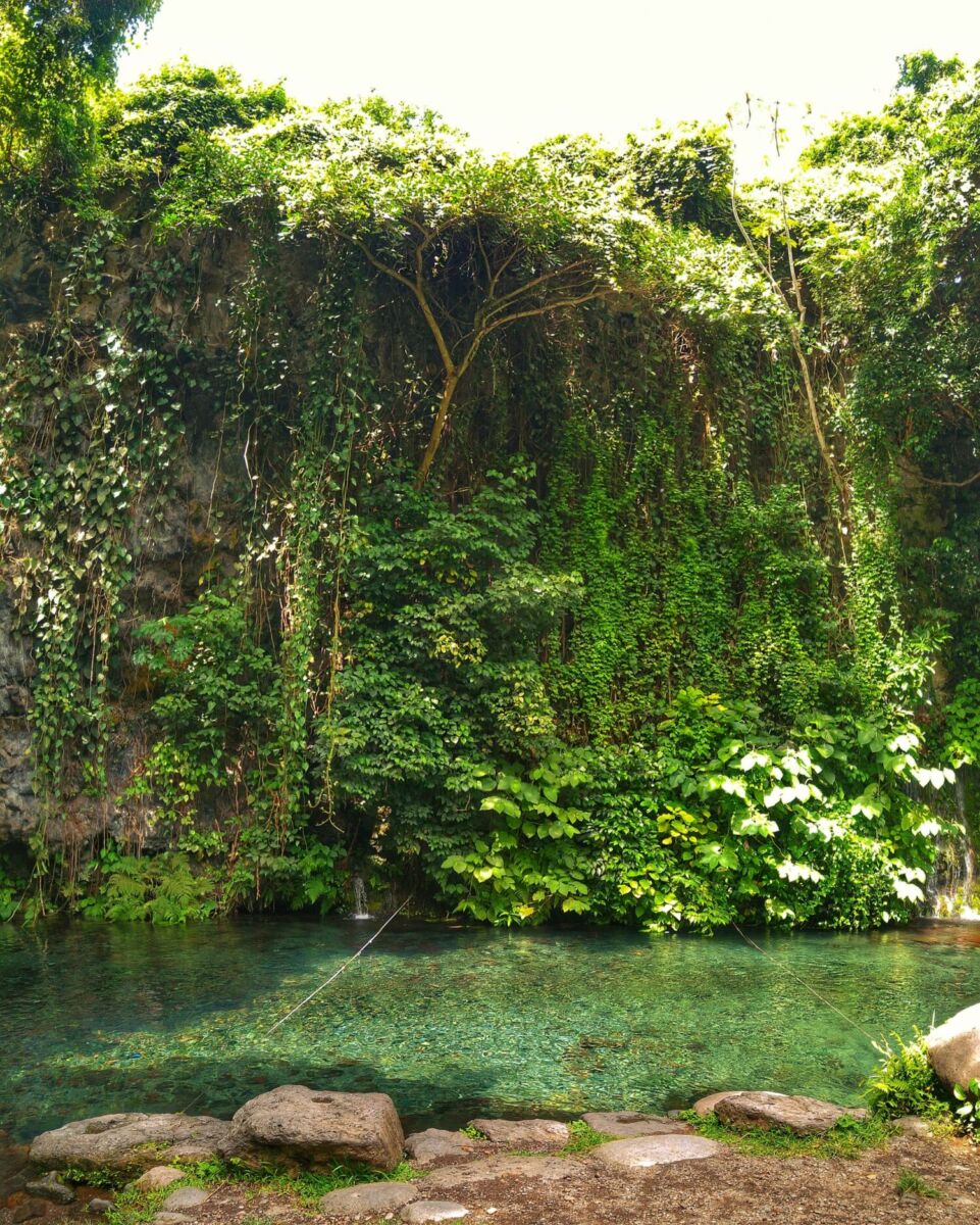 Nace El Agua, Veracruz
