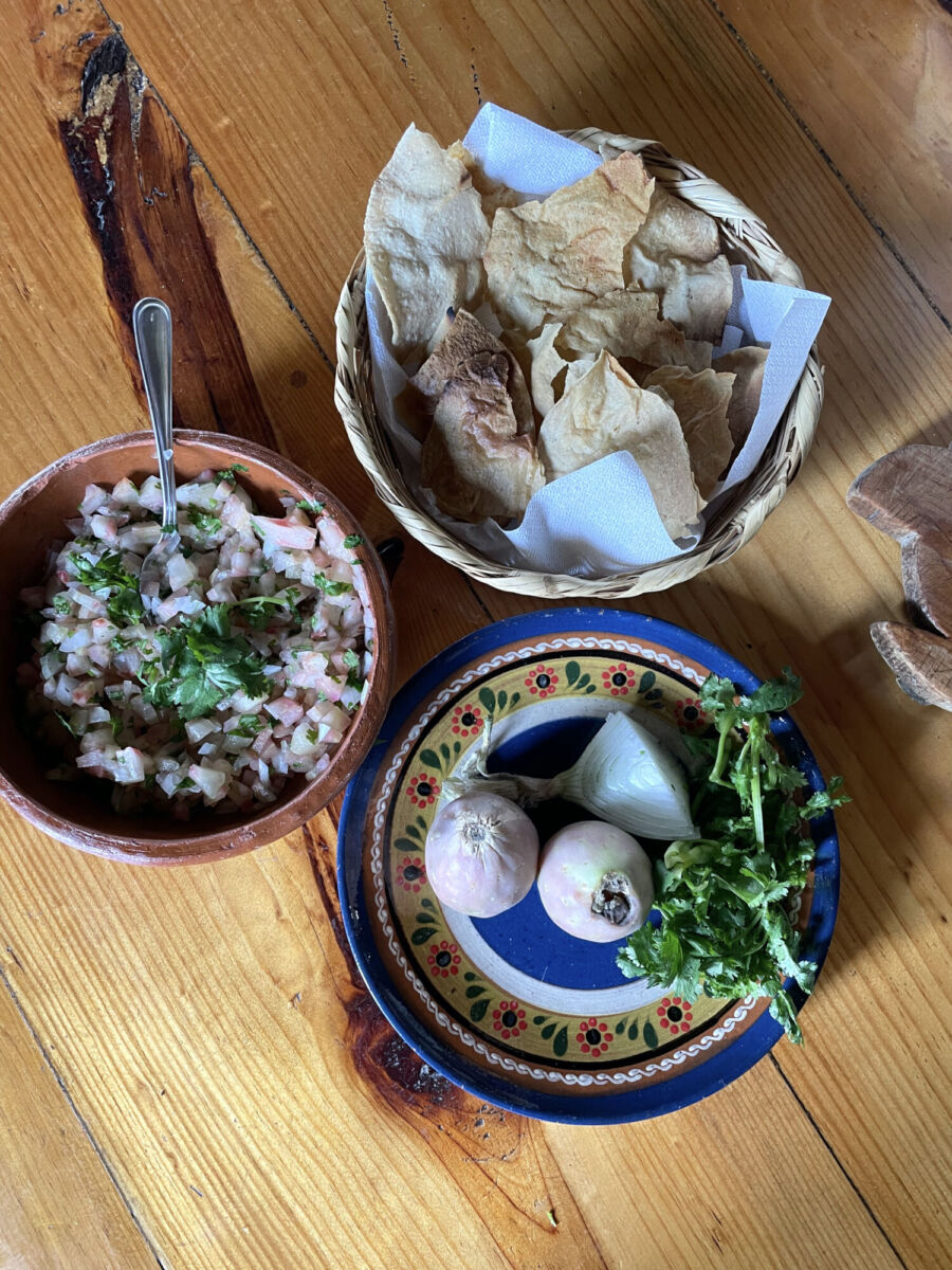 Pico de gallo de Xoconostle en Rancho Xotolar 