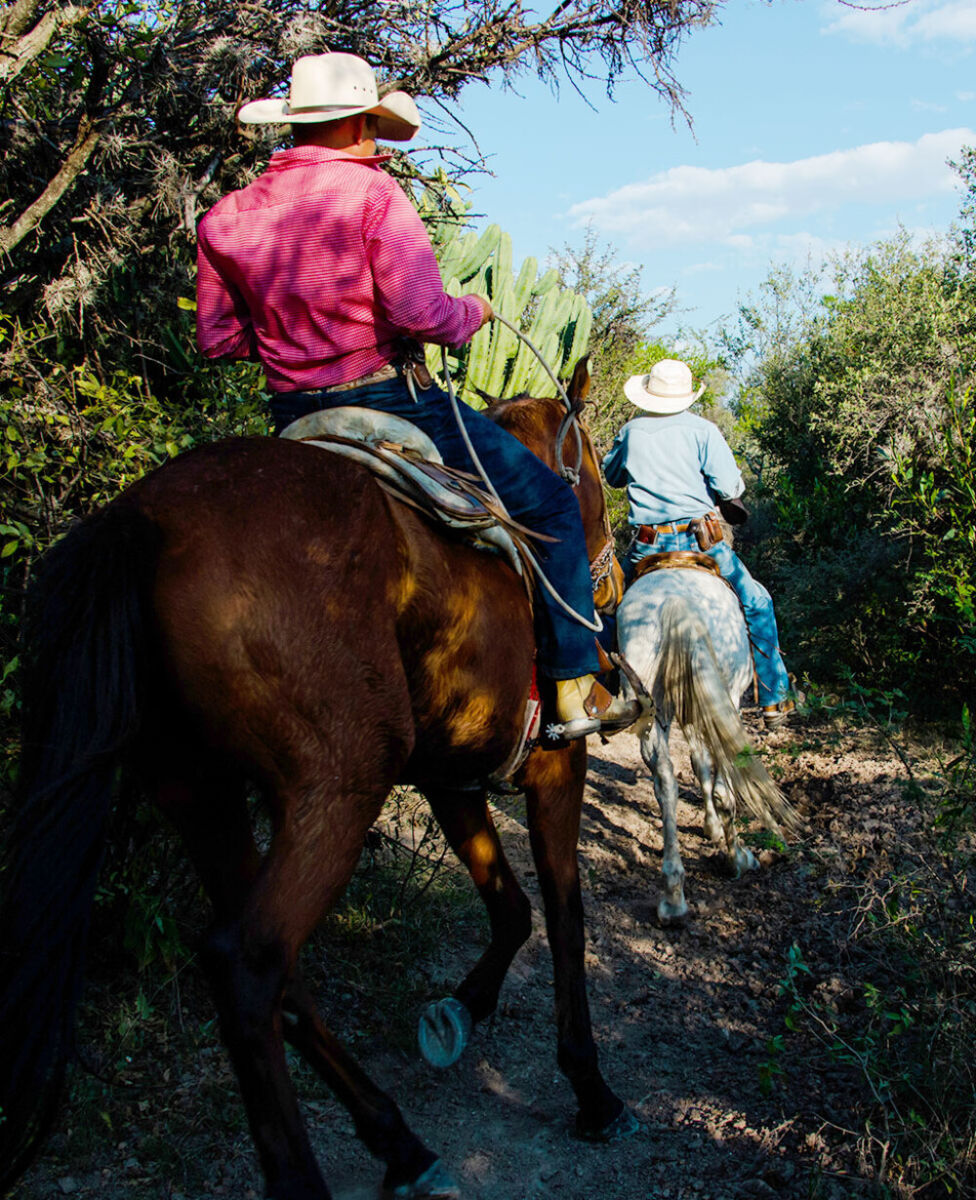 Dos jinetes cabalgando en el Rancho Xotolar 