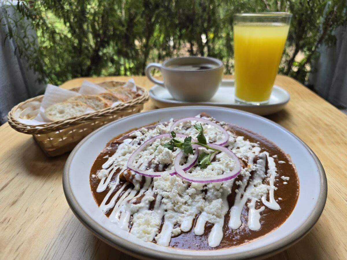 enchiladas de mole
