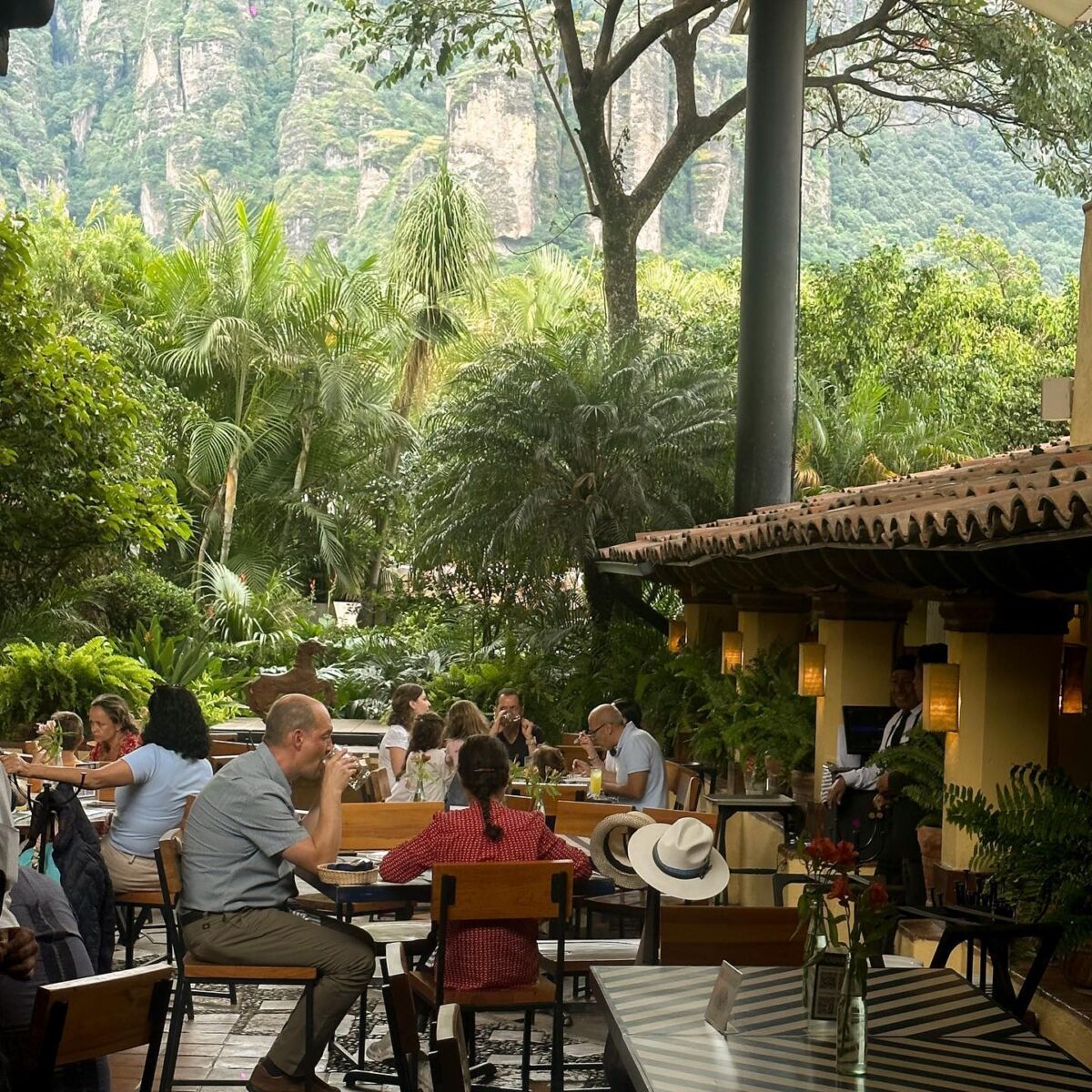 restaurante en medio de la naturaleza 