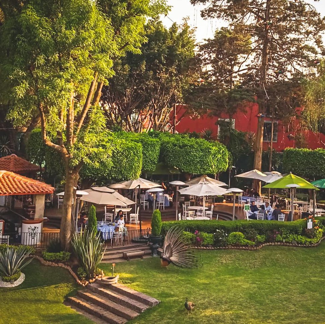 jardín de una antigua hacienda 
