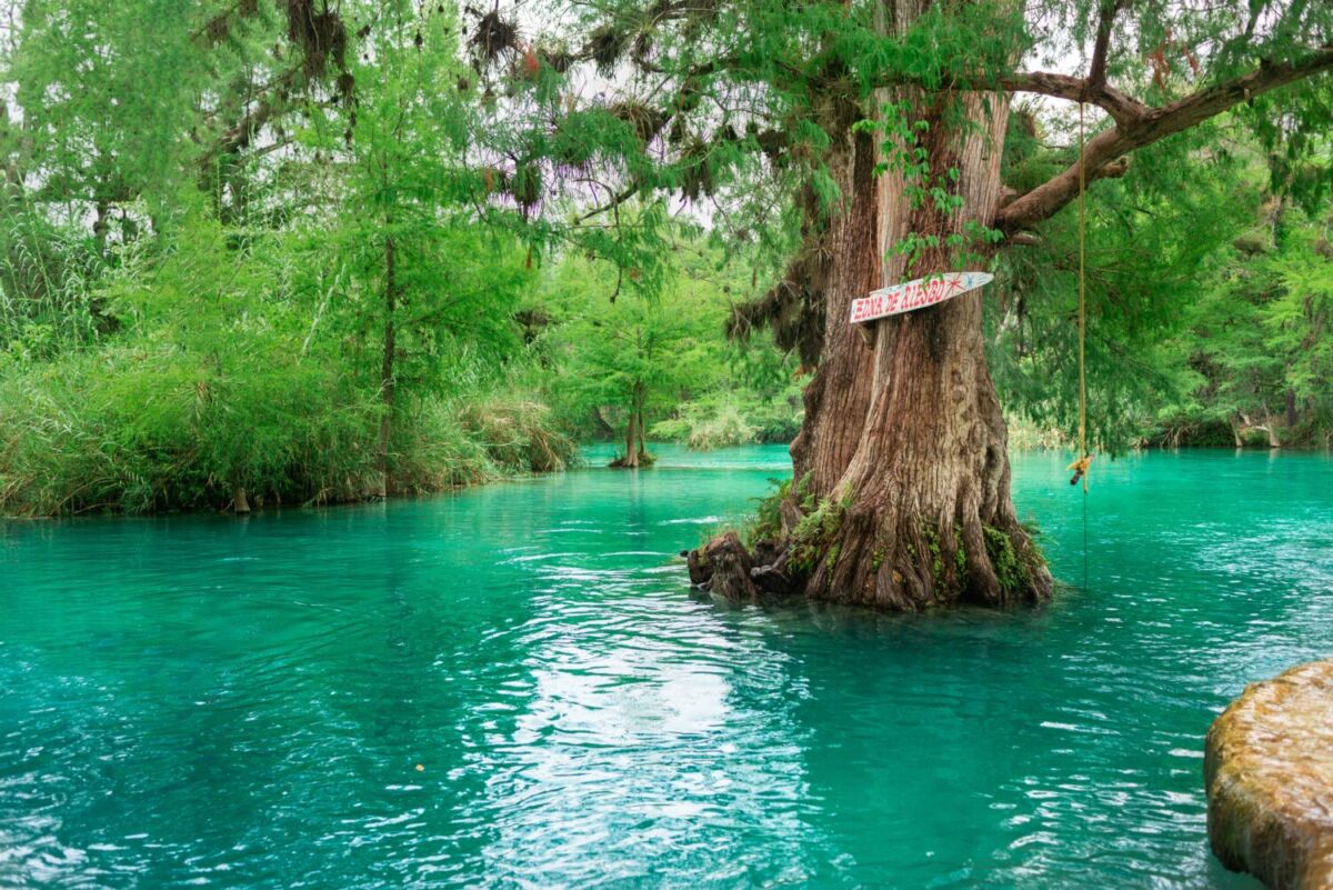 El mejor plan de verano: darse un chapuzón en un río turquesa rodeado de árboles