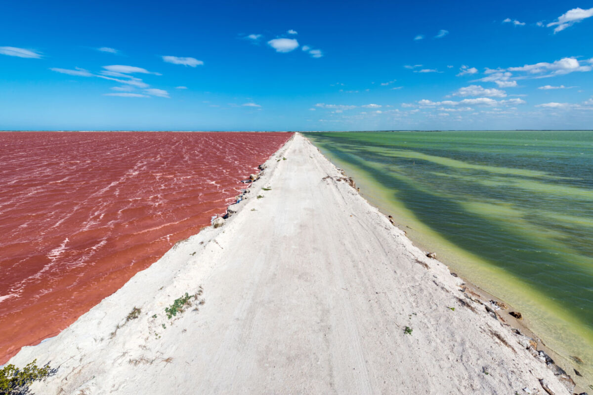 Franja de sal blanca separa el agua rosa de las salineras del agua verde en Las Coloradas, Yucatán