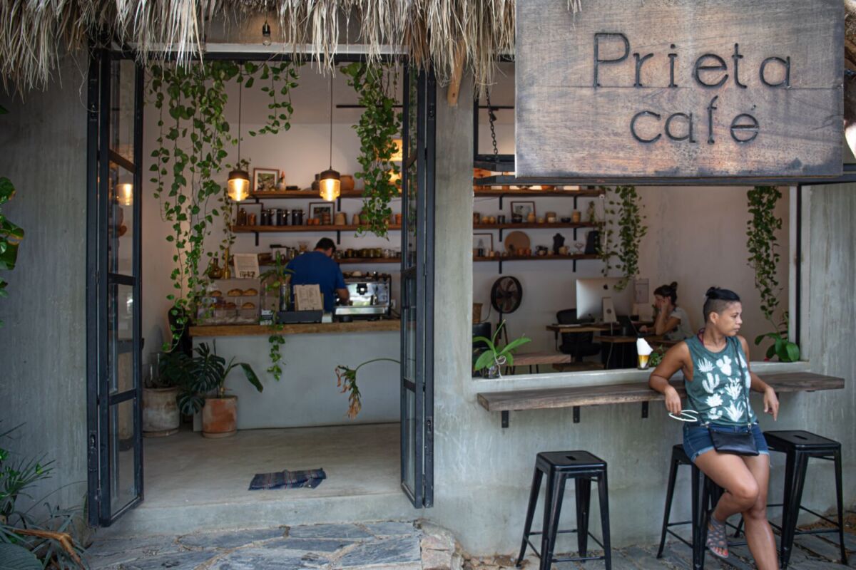 Café de Especialidad en San Pancho, Nayarit