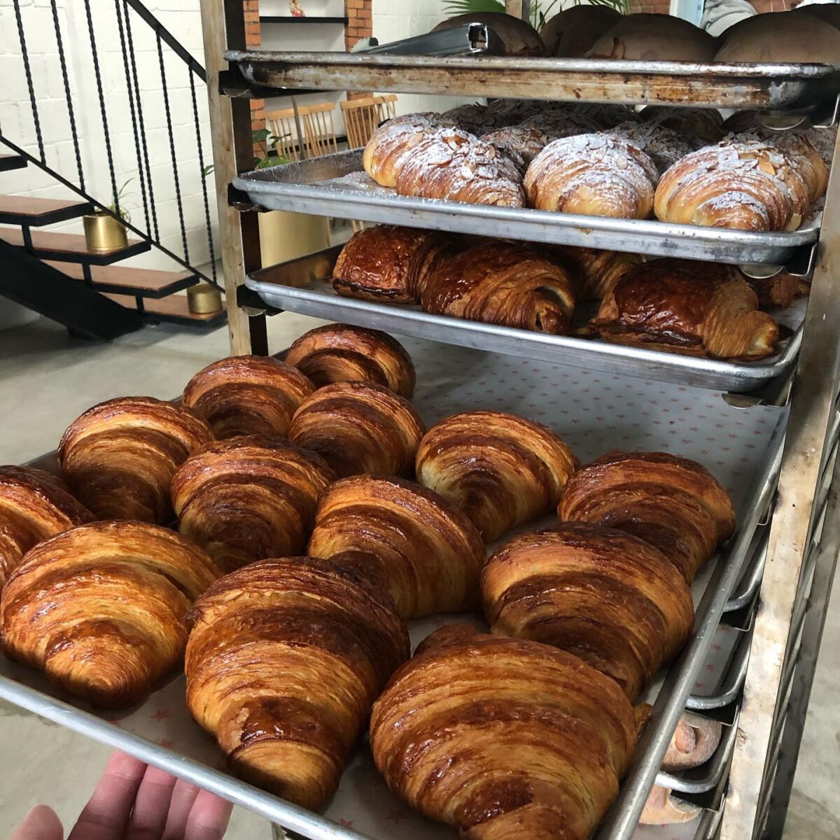 charola de horno con croissants