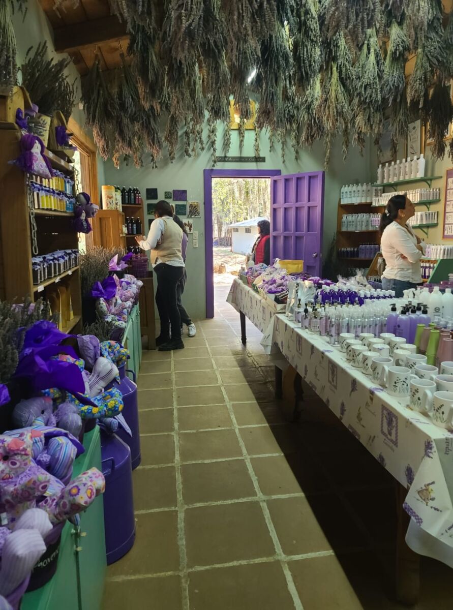 tienda con productos de lavanda 