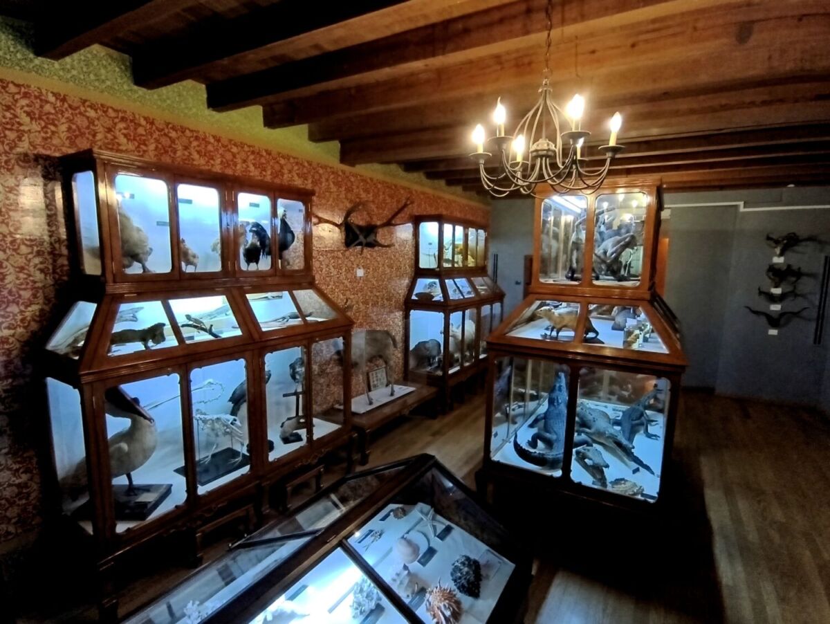 Museo de Historia Natural ‘Alfredo Dugès’