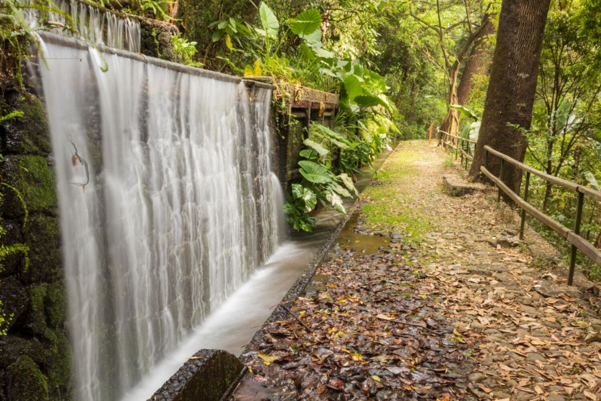 El paraíso del aguacate está en México y es un pueblito con cascadas y bellas calles peatonales