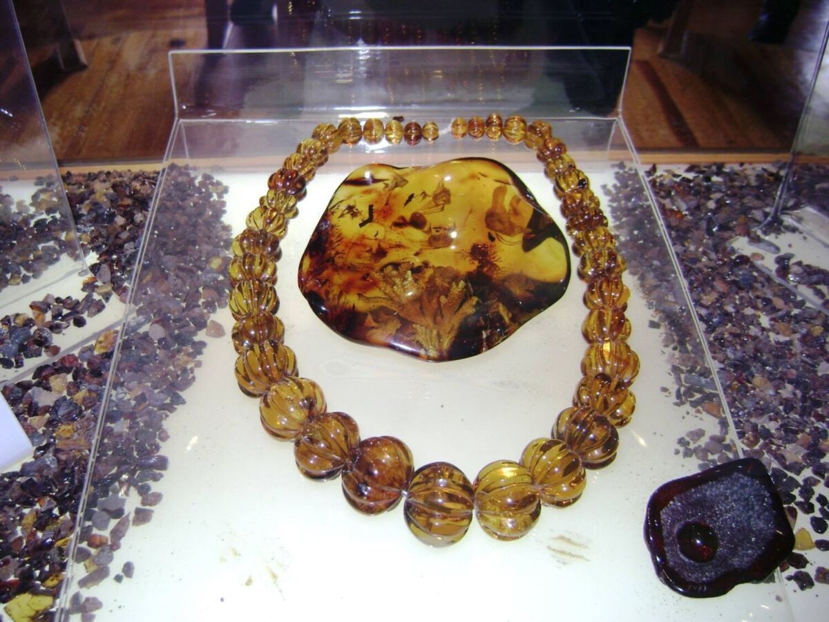 Piedra y collar de ámbar con incrustaciones fósiles en Simojovel, Chiapas 