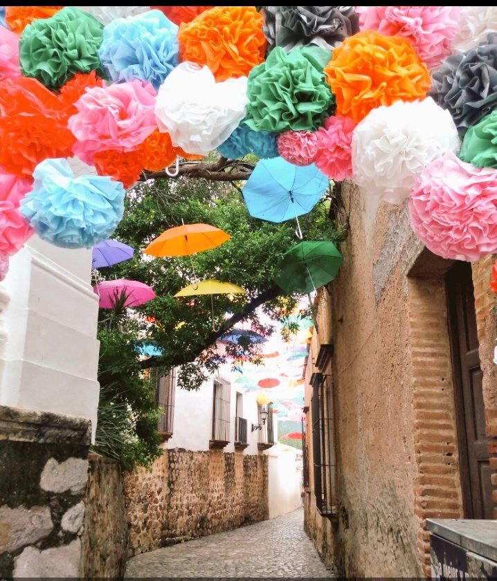 El callejón del beso en álamos, sonora
