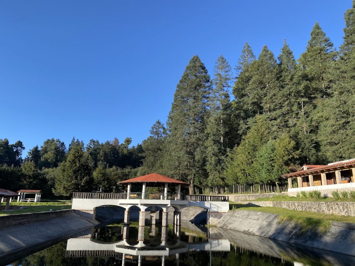 presa de agua rodeada de bosques de pino 