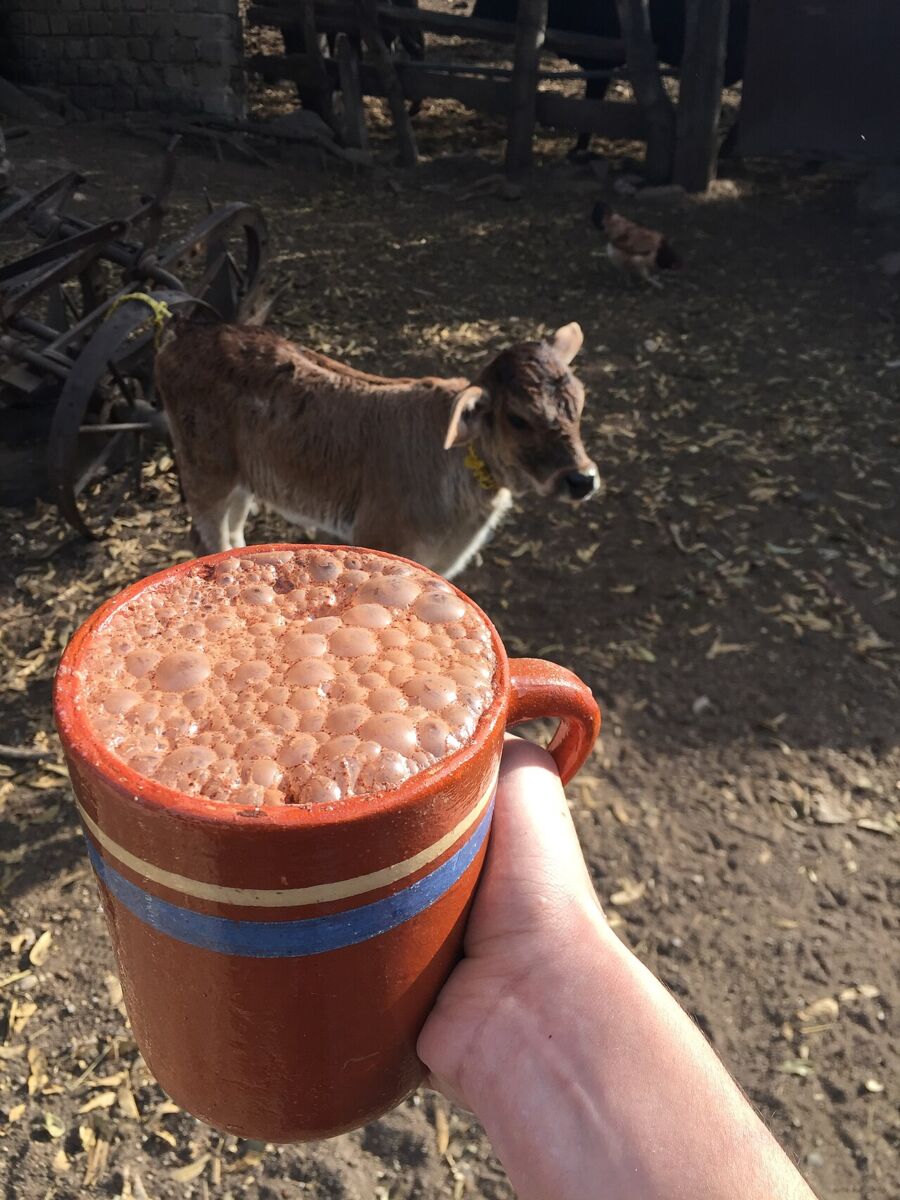 bebidas típicas de Jalisco 