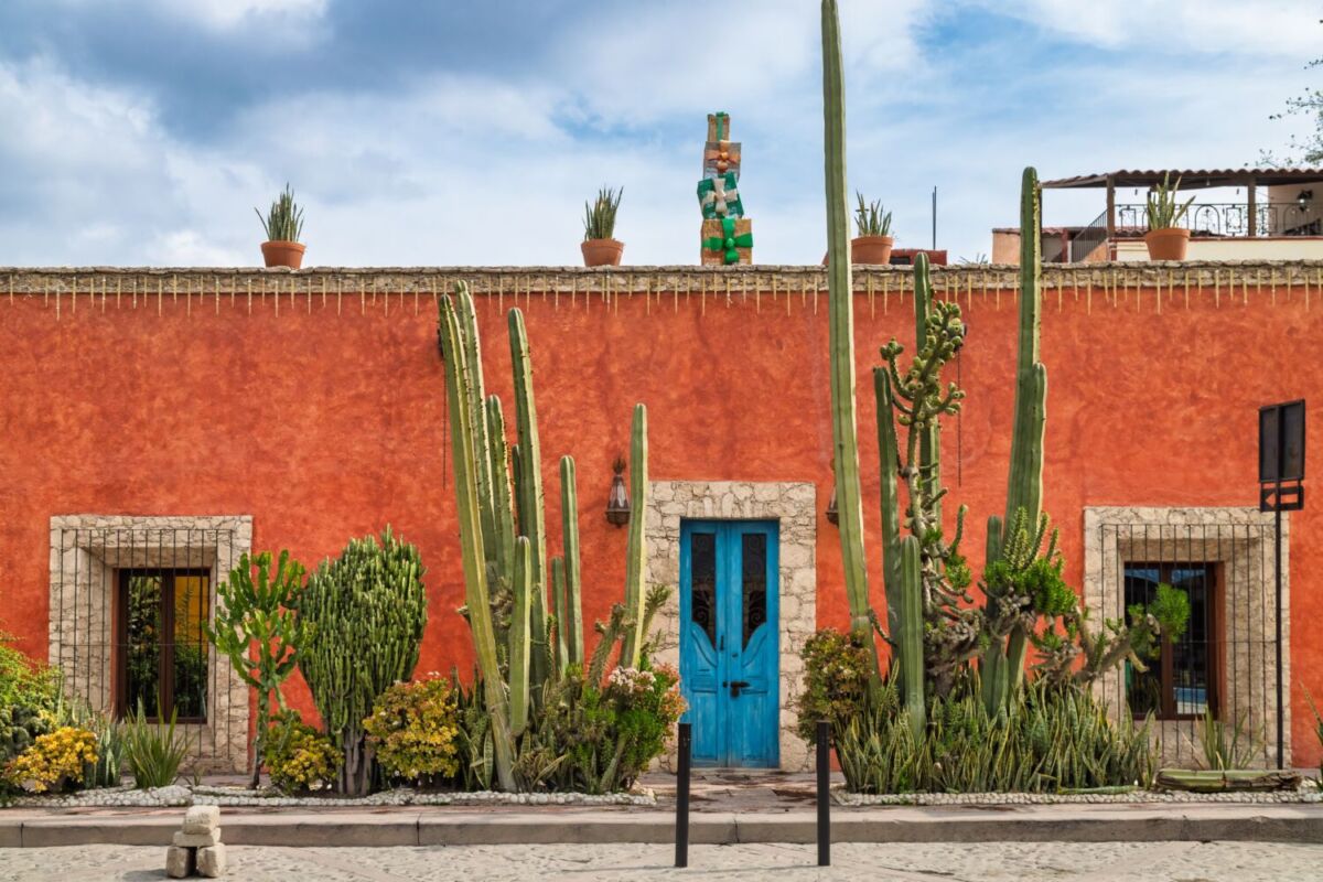 fachada naranja con cactus