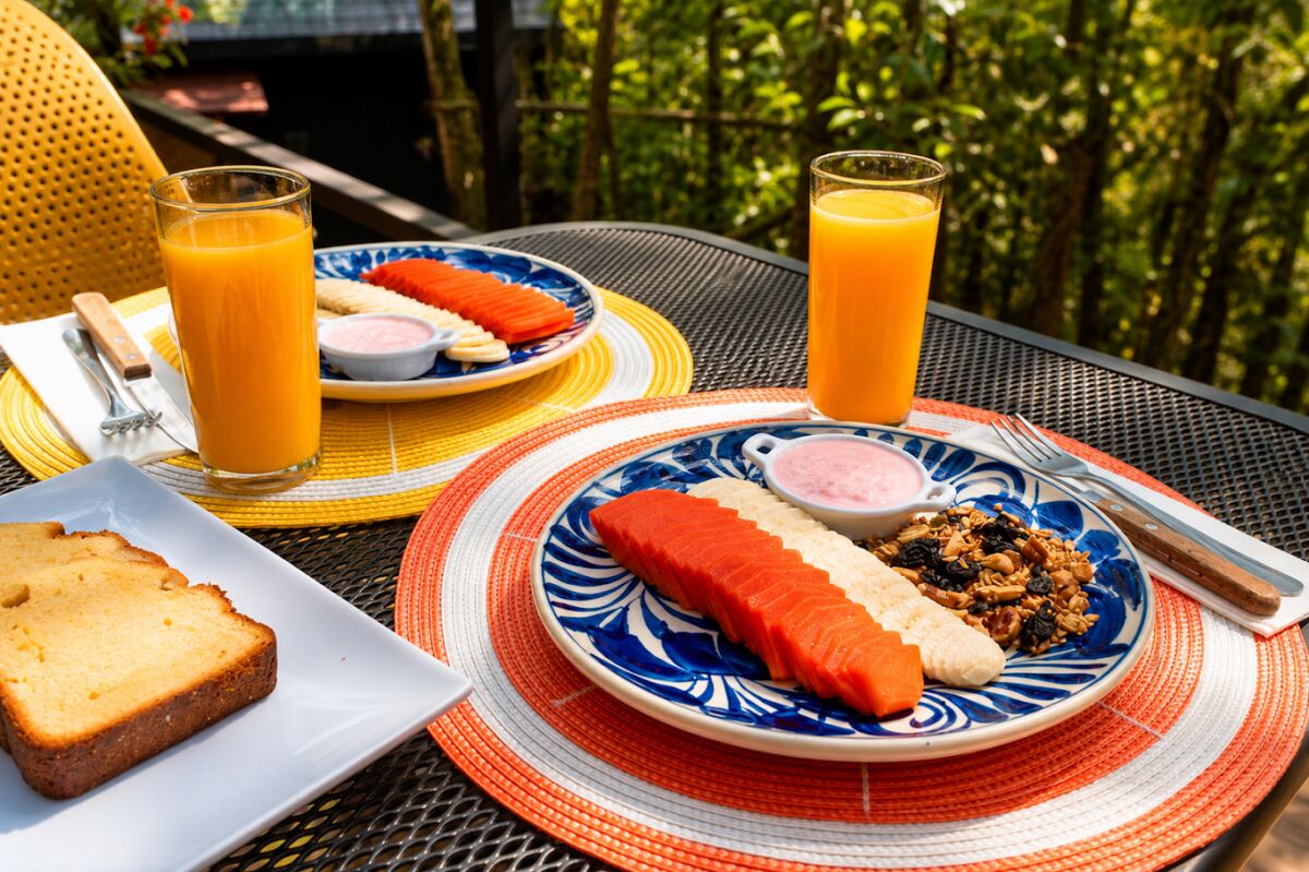 desayuno en medio del bosque 