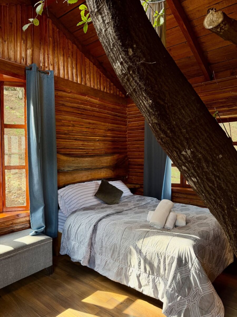 habitación de una casa del árbol 