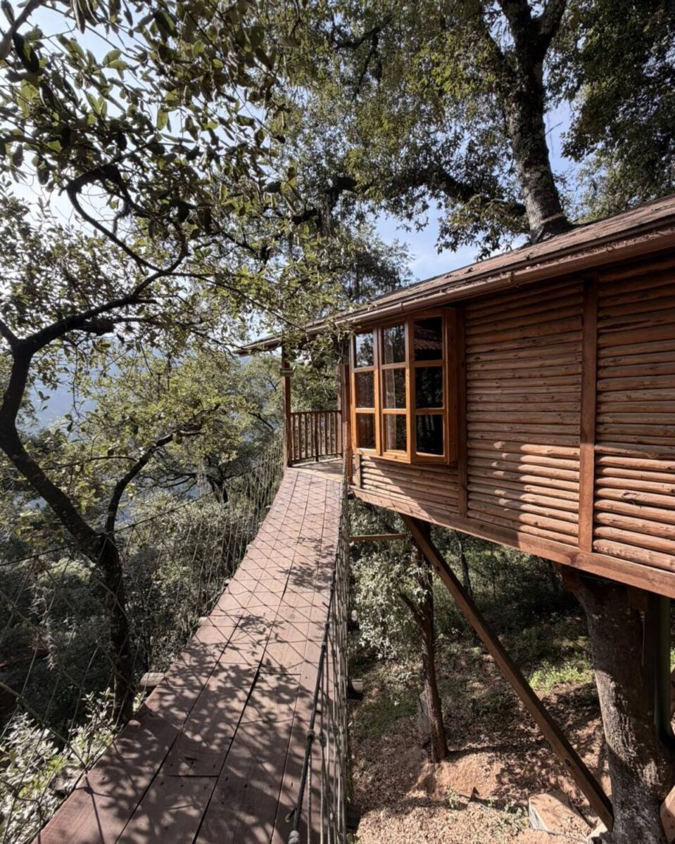 Las cabañas a las que llegas cruzando un puente colgante (y están cerca de la CDMX) 