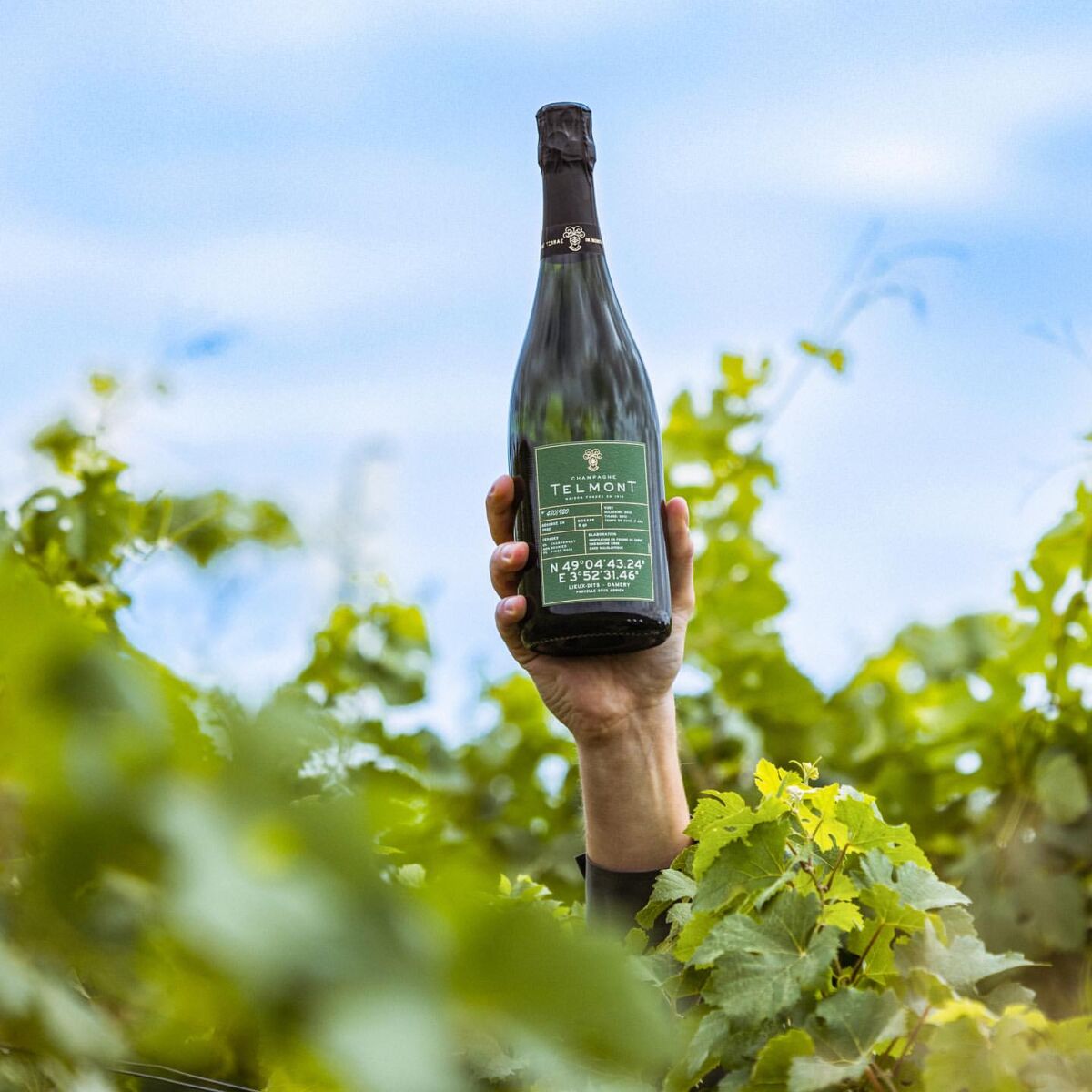 mano alzando una botella de champagne telmont