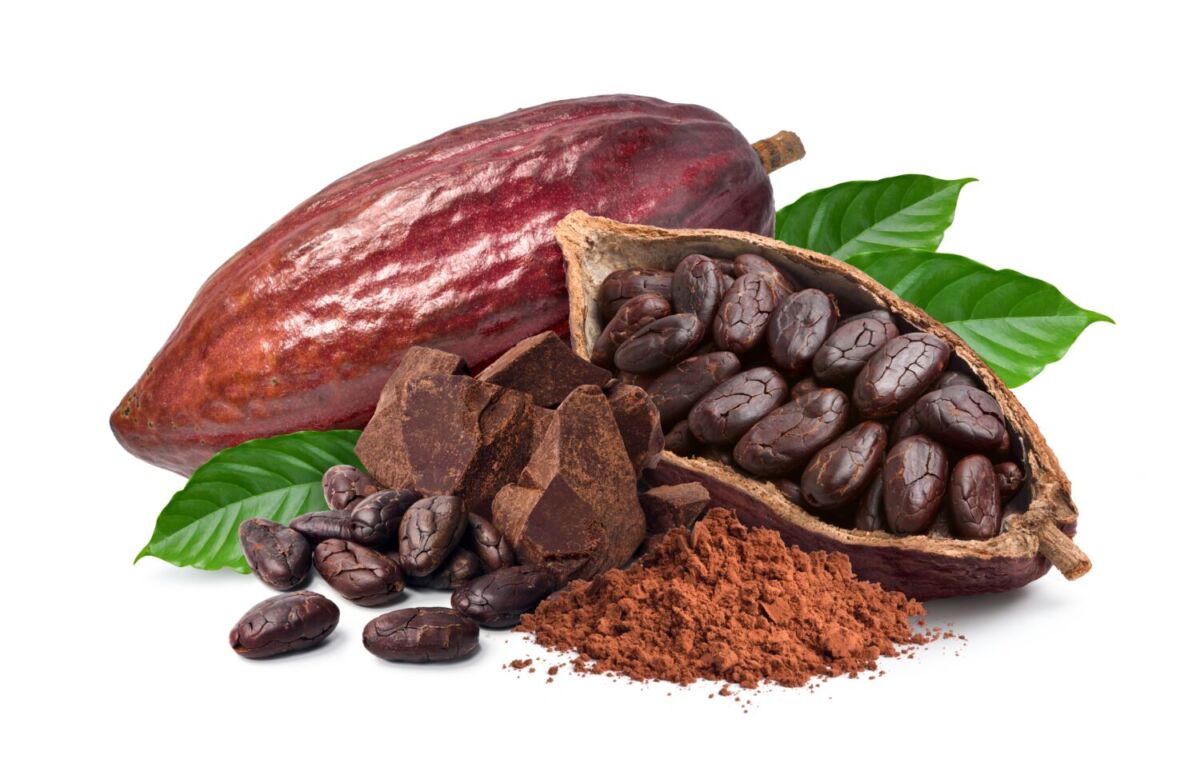 cacao abierto