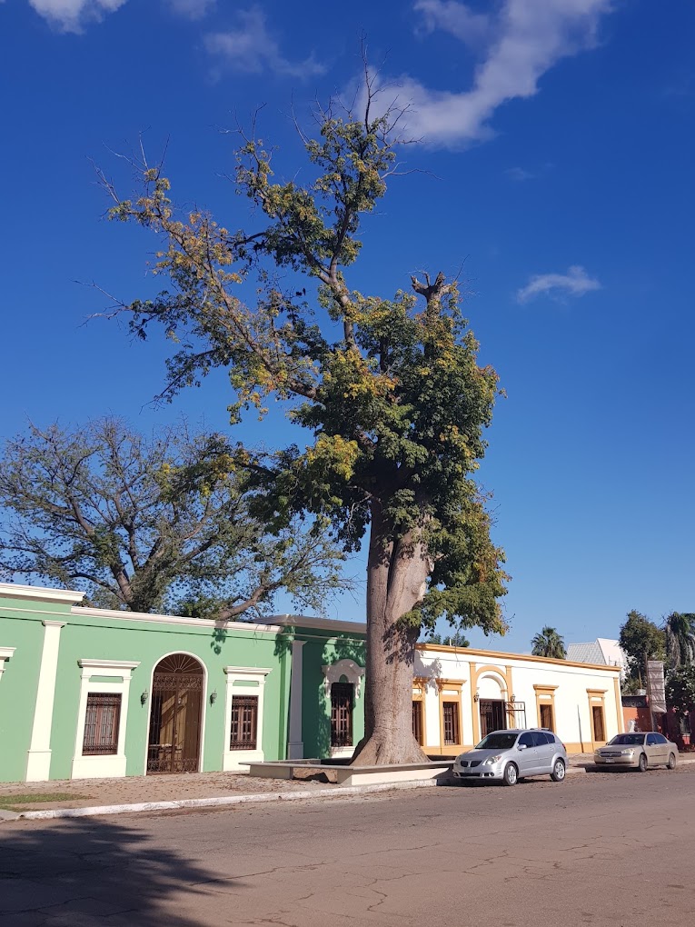 casas de estilo colonial 